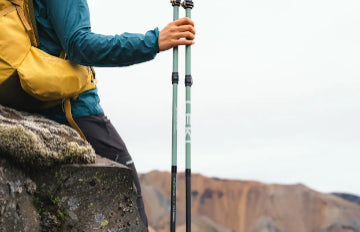 Travel Trekking Poles Leki