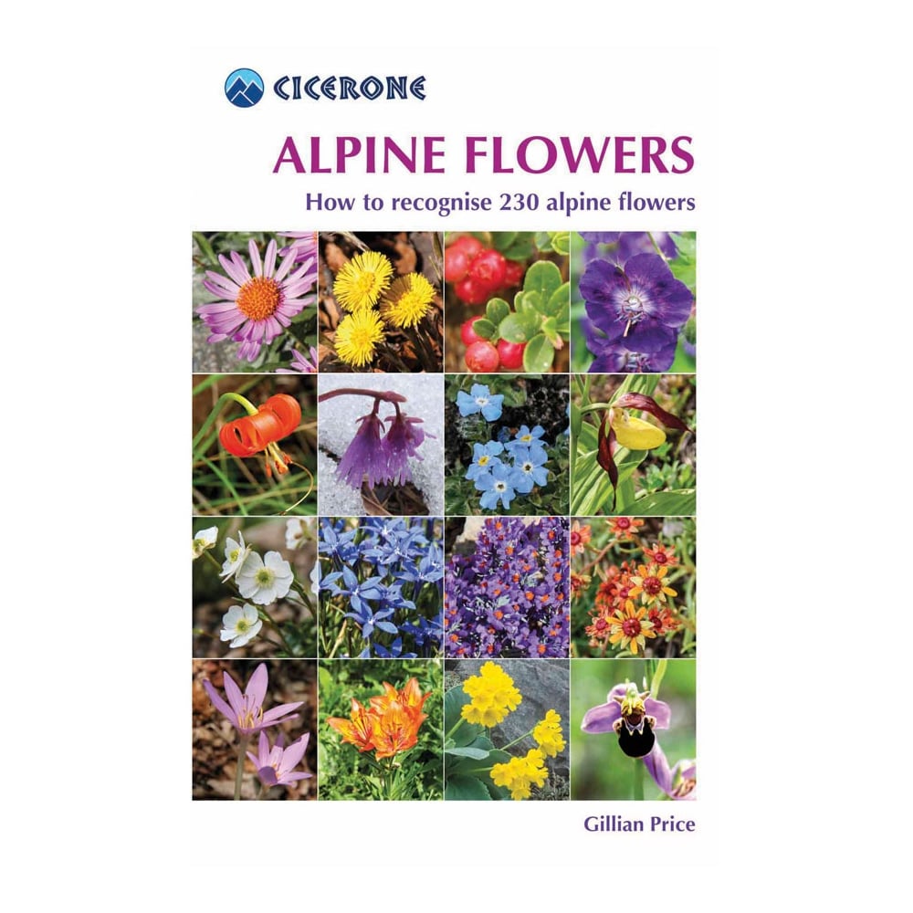 Alpine Flowers