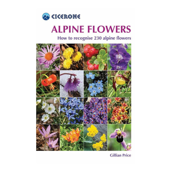 Alpine Flowers