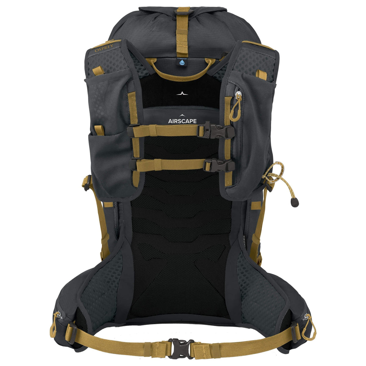 Talon Velocity 30