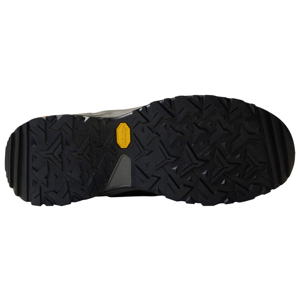 Mens Hedgehog GTX Walking Shoe