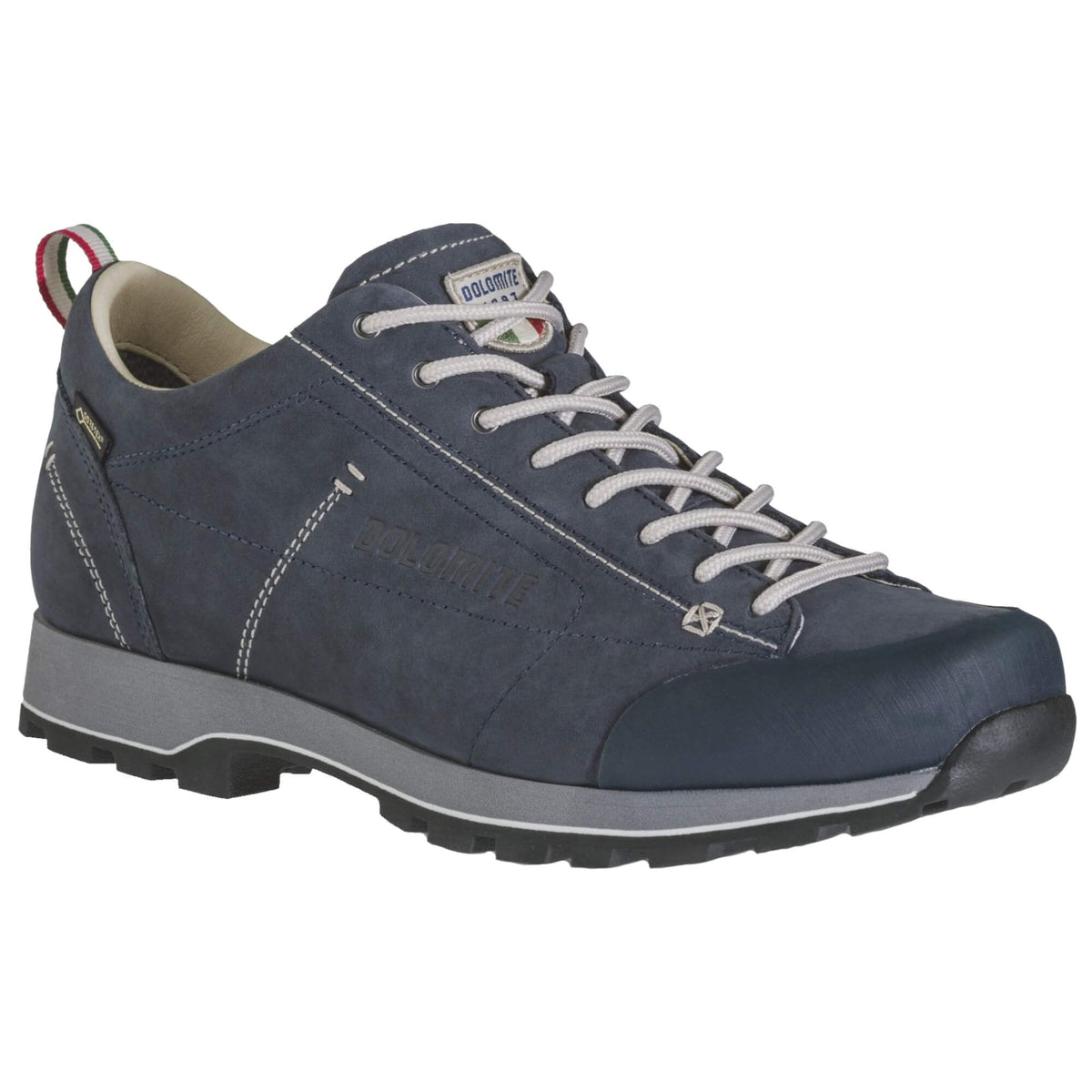 Mens 54 Low FG Evo GTX Walking Shoe