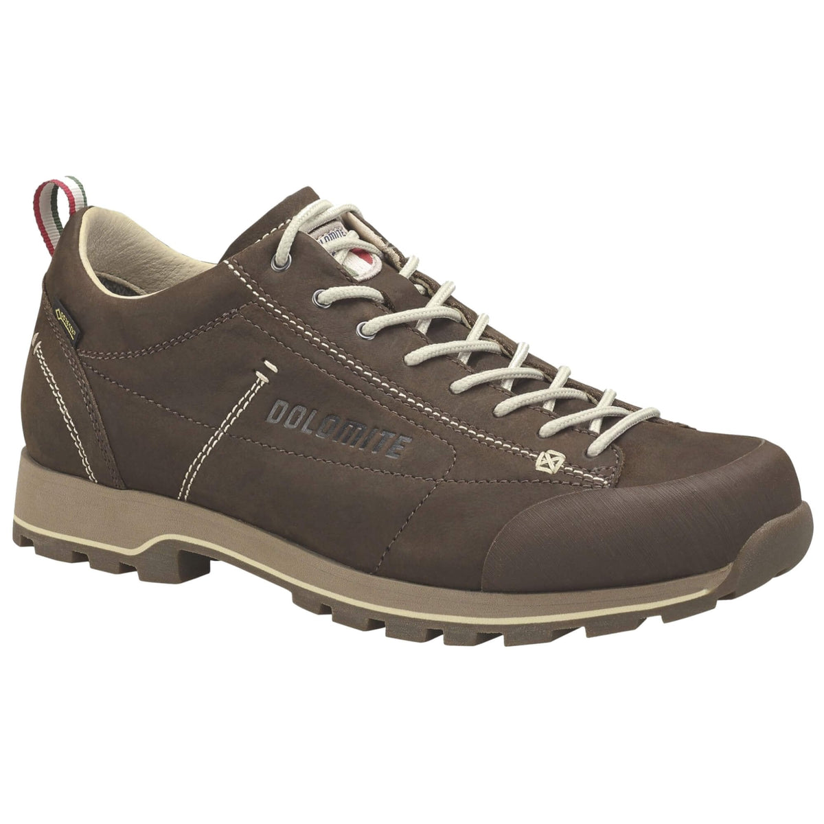 Mens 54 Low FG Evo GTX Walking Shoe