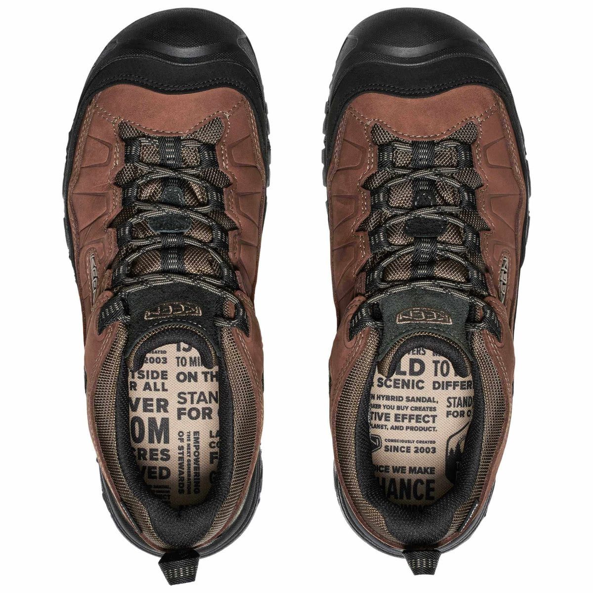 Mens Targhee IV WP Walking Shoe