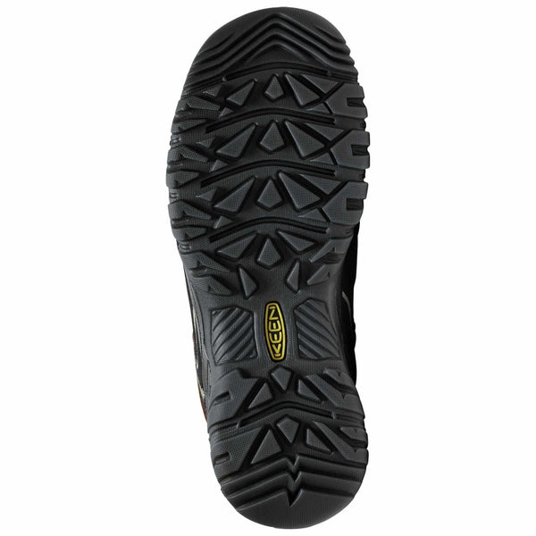 Mens Targhee IV WP Walking Shoe