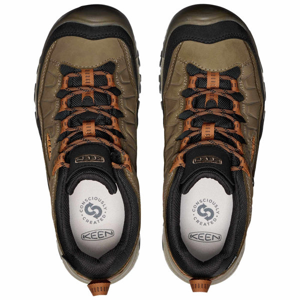 Mens Targhee IV WP Walking Shoe