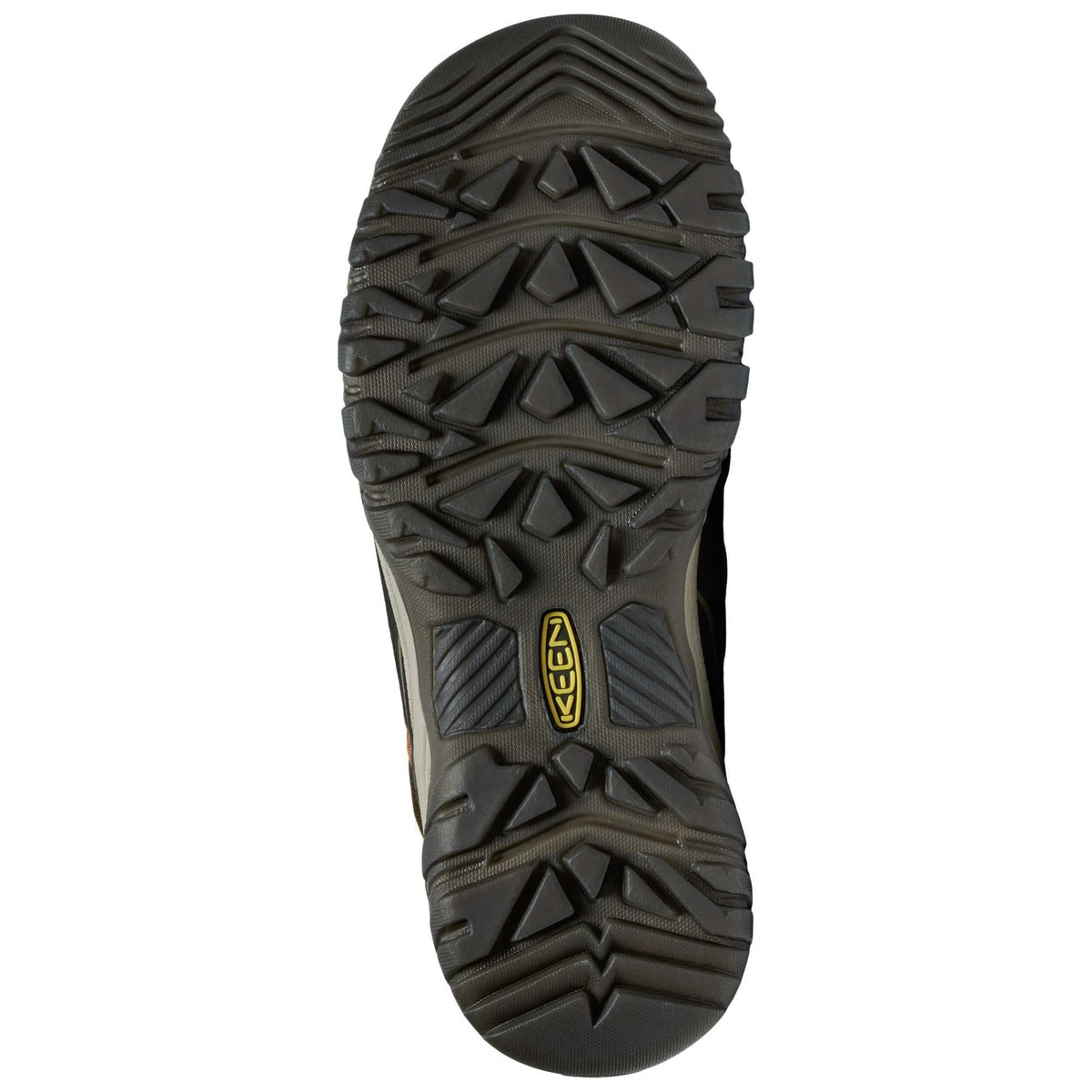 Mens Targhee IV WP Walking Shoe