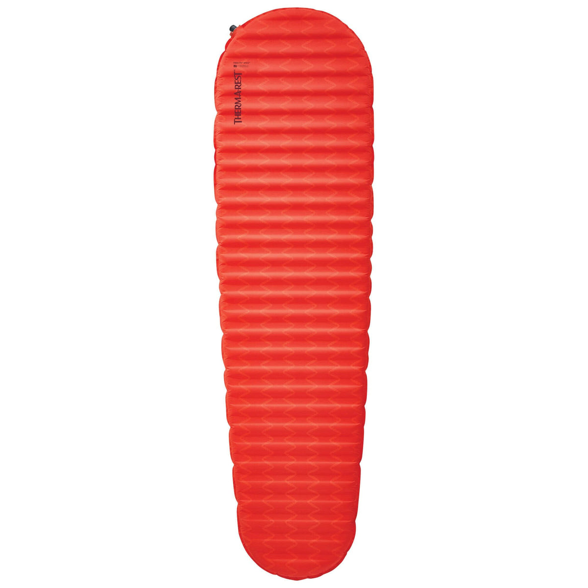 ProLite Apex L Sleeping Mat