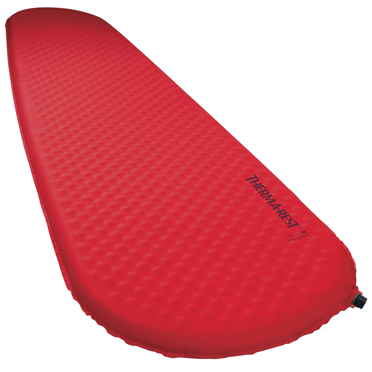 ProLite Plus L Sleeping Mat