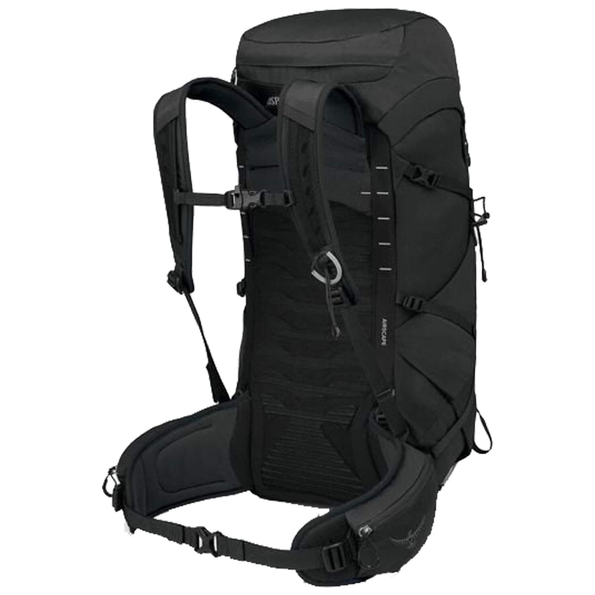 Talon 33