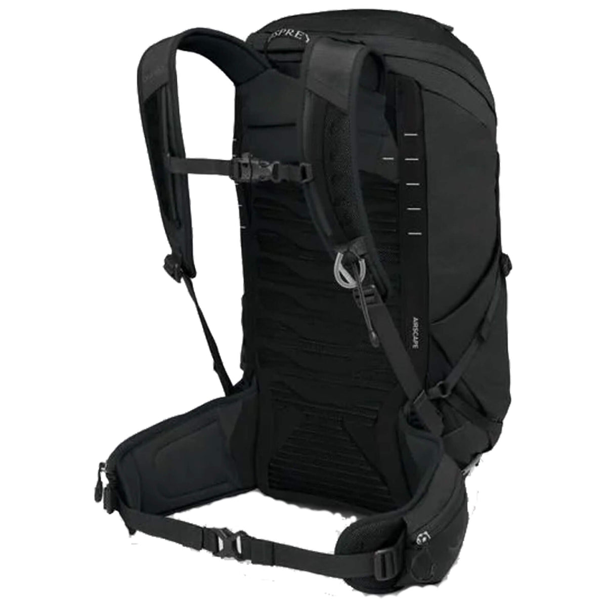 Talon 26