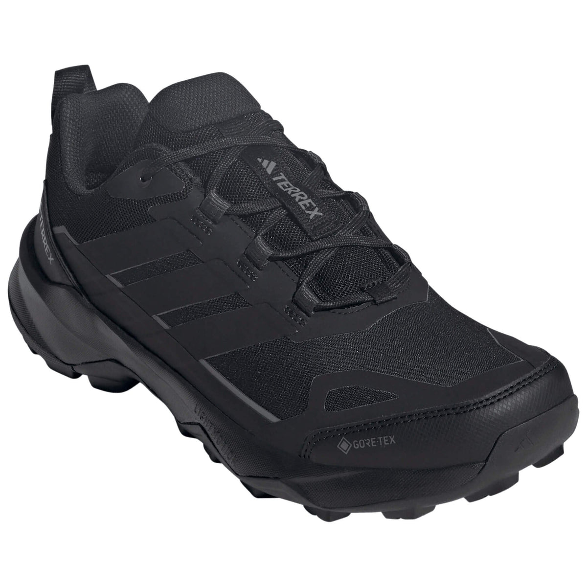 Mens Terrex Skychaser AX5 GTX Walking Shoe