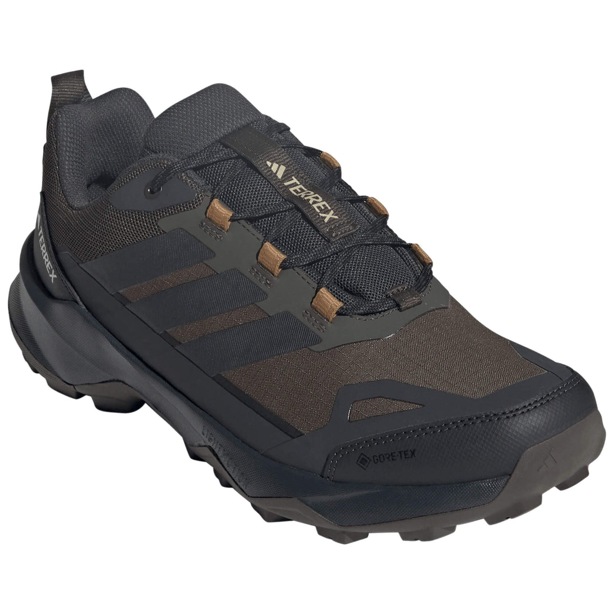 Mens Terrex Skychaser AX5 GTX Walking Shoe
