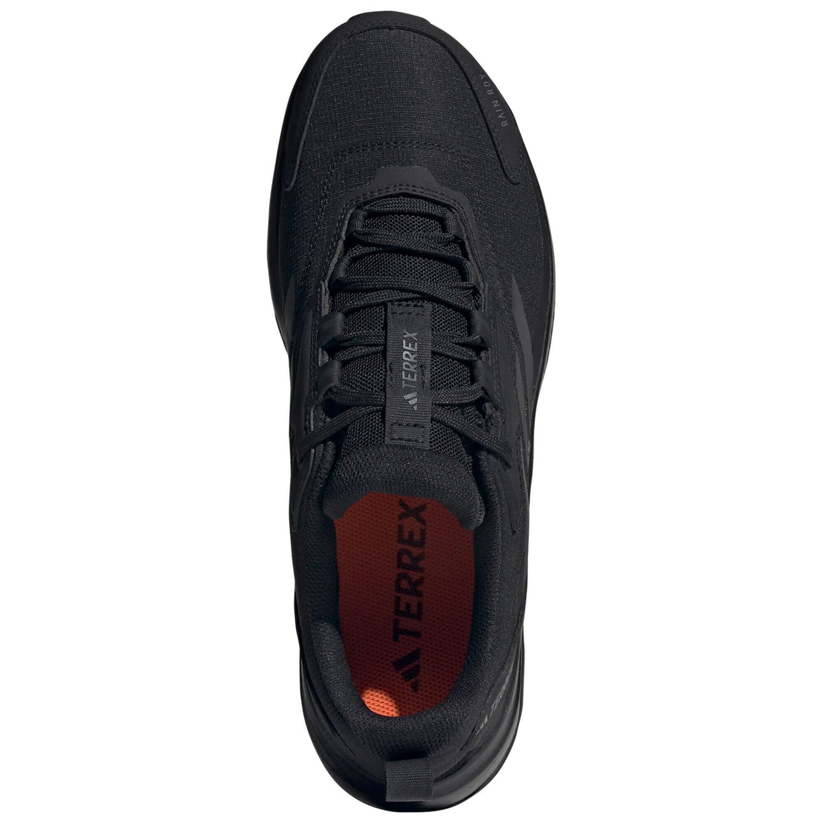 Mens Terrex Anylander R RDY Walking Shoe