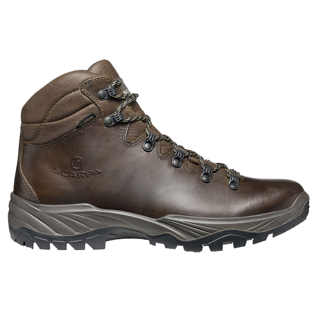 Mens Terra GTX Walking Boot
