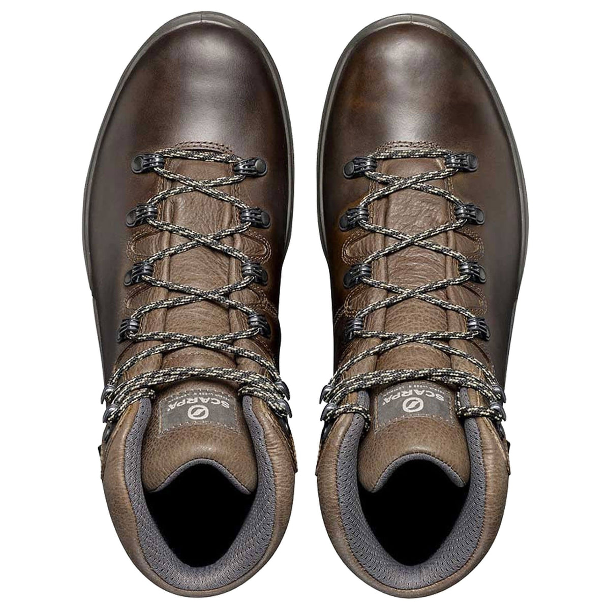 Mens Terra GTX Walking Boot