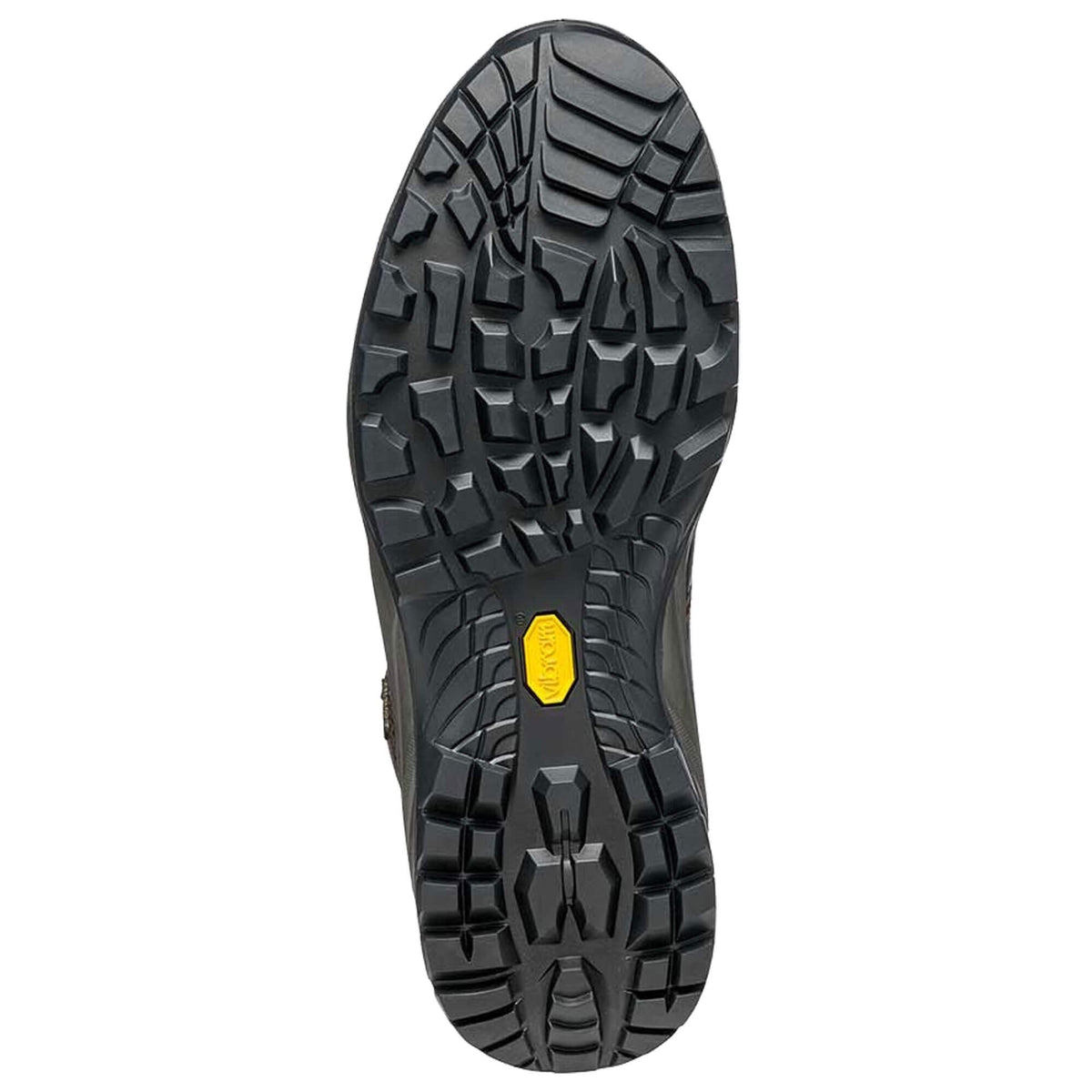 Mens Terra GTX Walking Boot