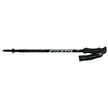 Compact Walking Pole Pair
