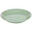 Cascadian Plate