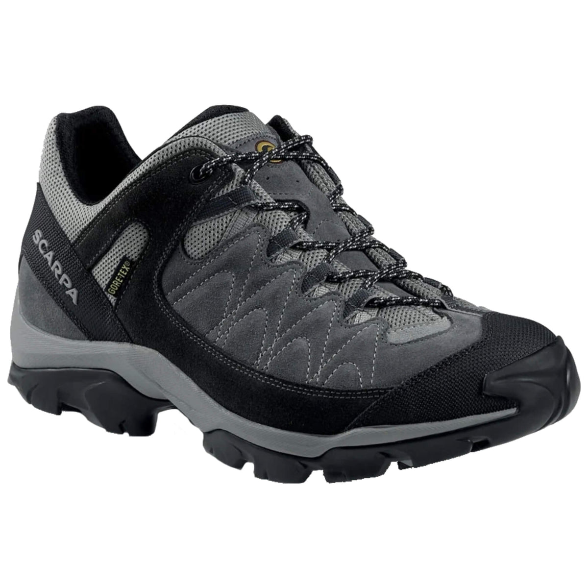 Mens Vortex GTX Walking Shoe