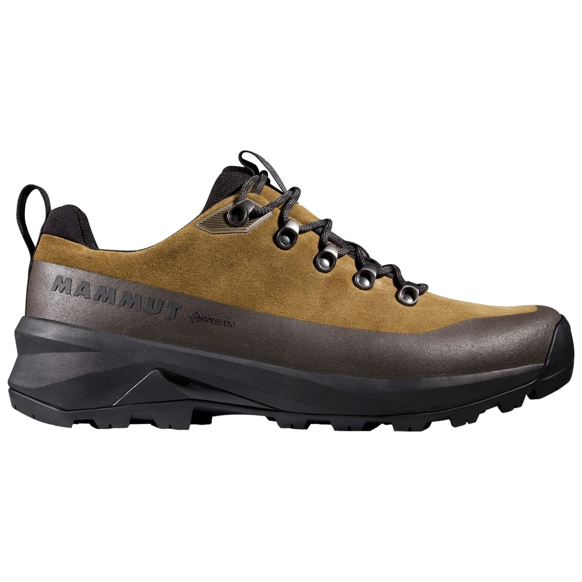 Mens Ducan III Low LTH GTX Walking Shoe