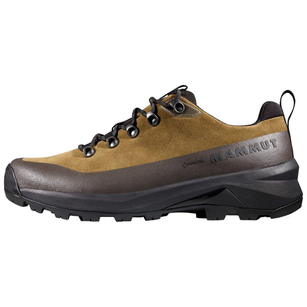 Mens Ducan III Low LTH GTX Walking Shoe