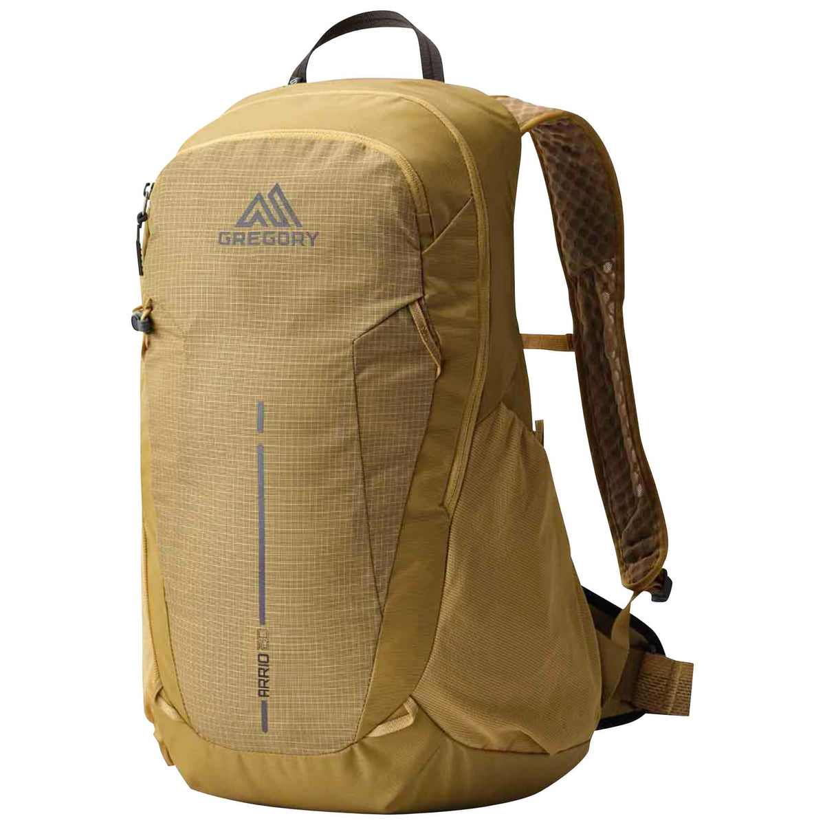 Arrio 20 RC