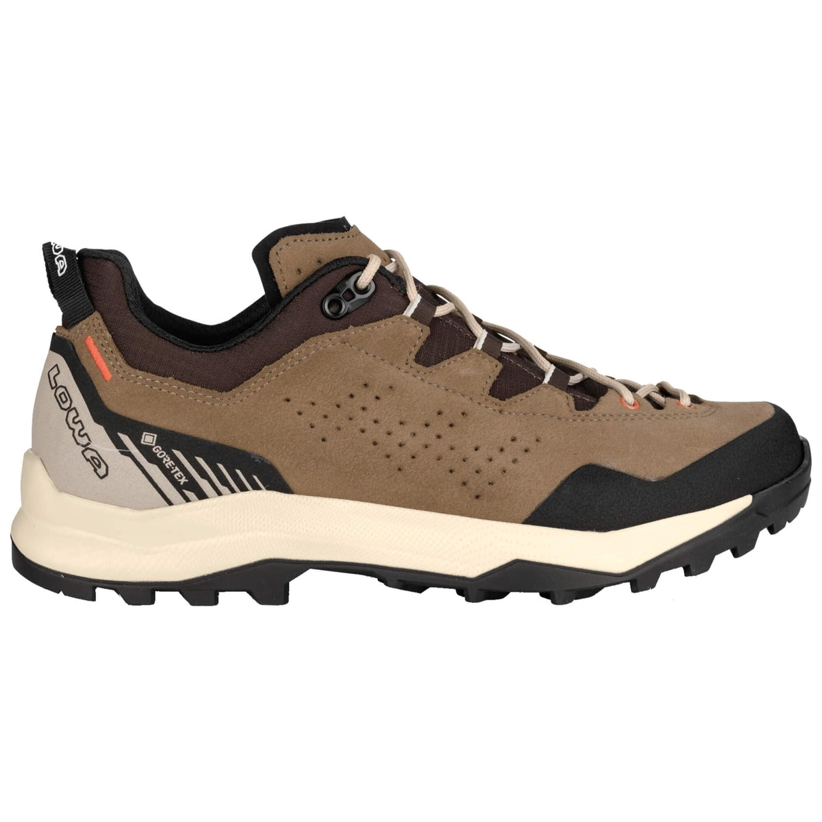 Mens Explorer GTX Lo Walking Shoe