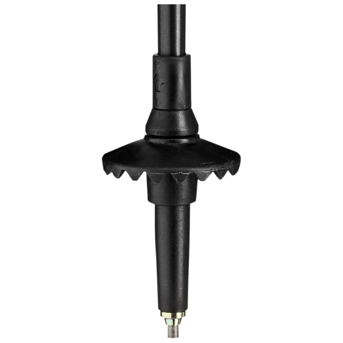 Legacy Walking Pole Pair