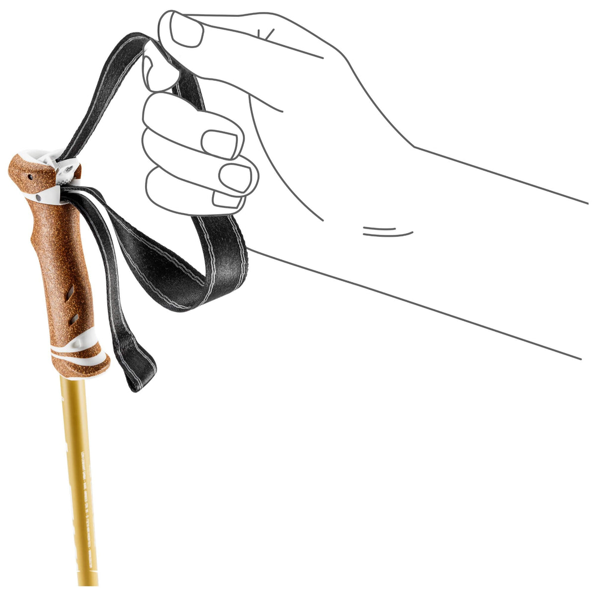 Legacy Lite Compact Walking Pole Pair