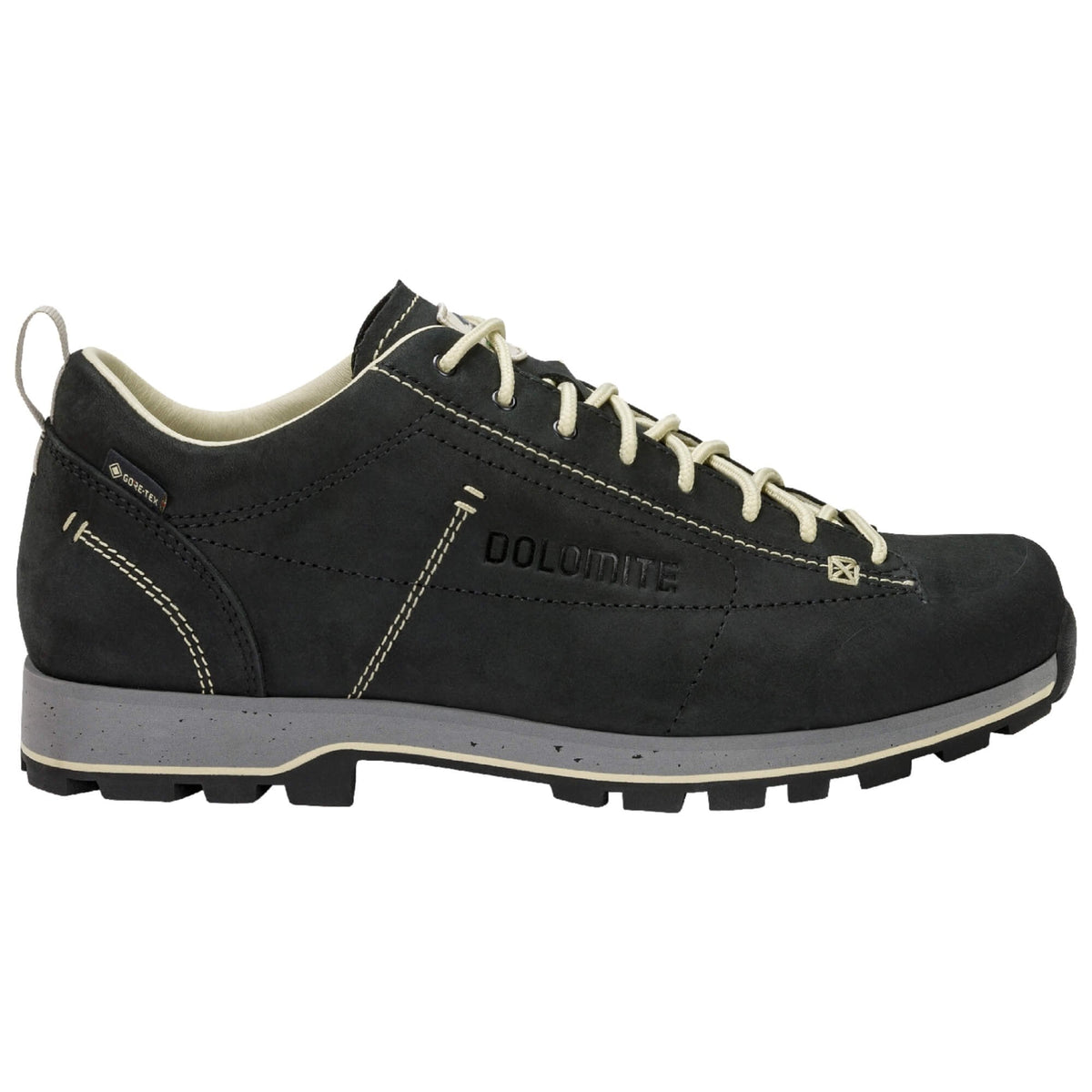 Mens 54 Low FG Evo GTX Walking Shoe