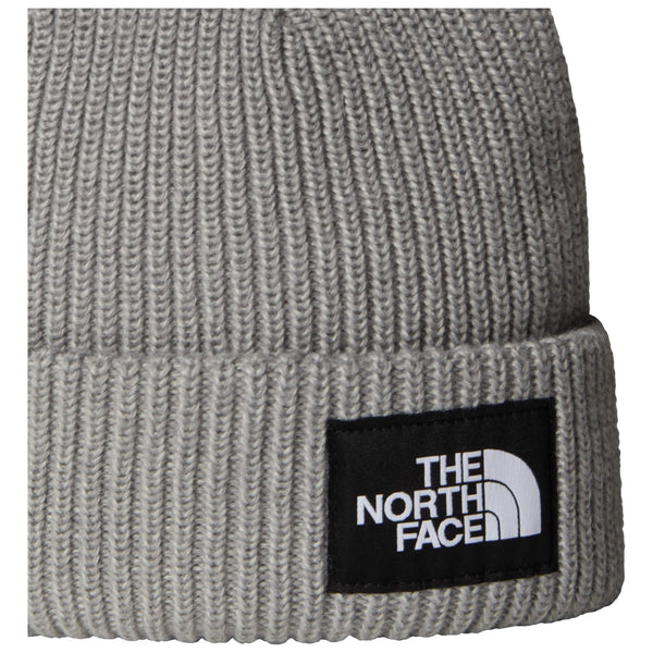 Salty Lined Beanie