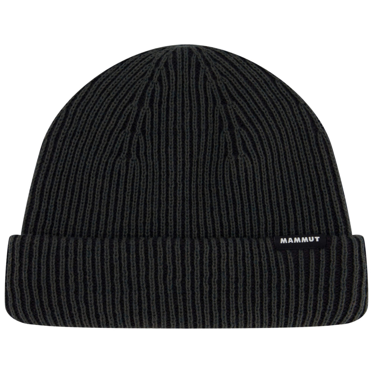 Waymarker Beanie