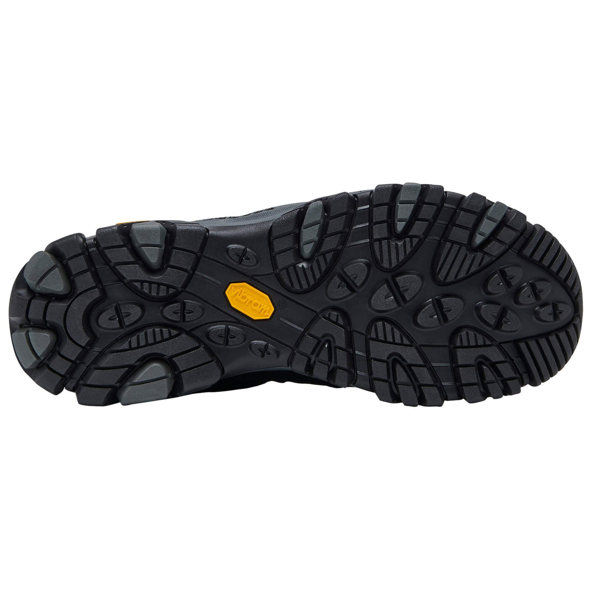 Mens Moab 3 GTX Walking Shoe