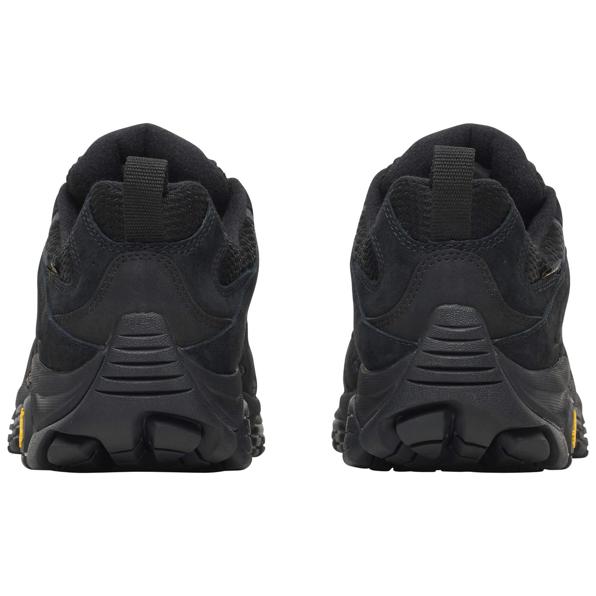 Mens Moab 3 GTX Walking Shoe