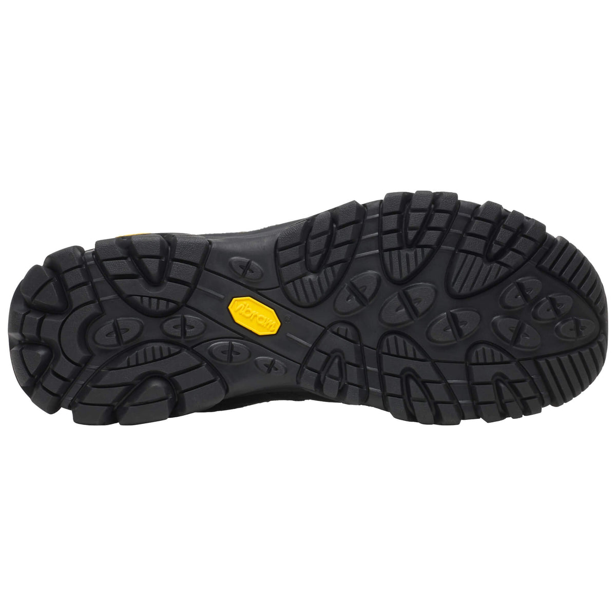 Mens Moab 3 GTX Walking Shoe