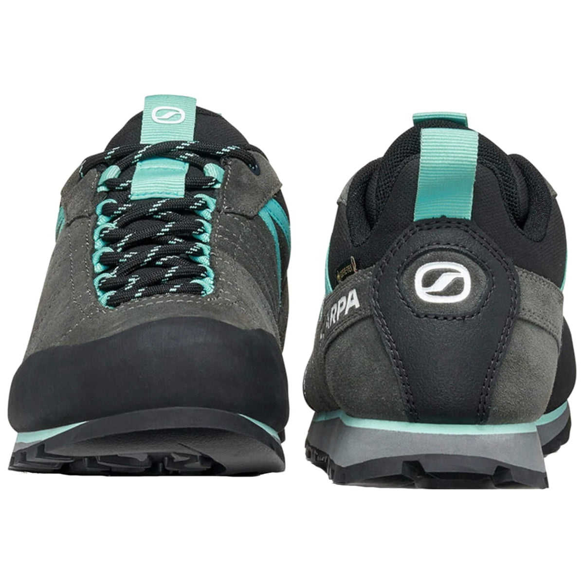 Womens Crux 2 GTX Walking Shoe