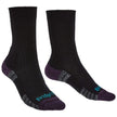 BLACK/PURPLE