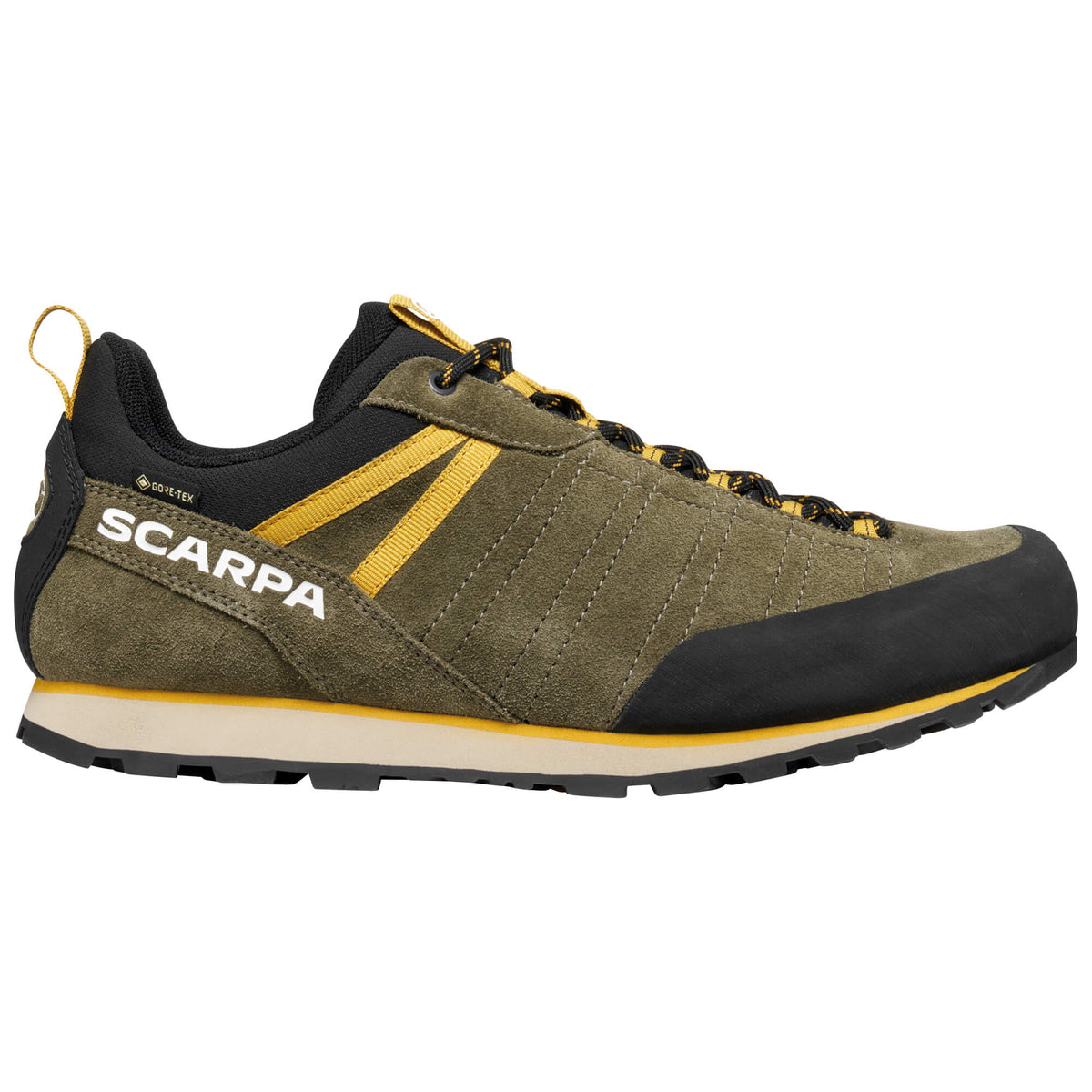 Mens Crux 2 GTX Walking Shoe