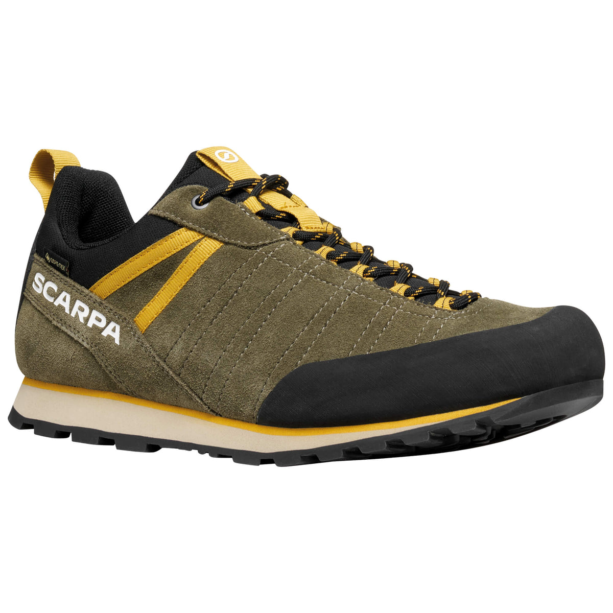 Mens Crux 2 GTX Walking Shoe
