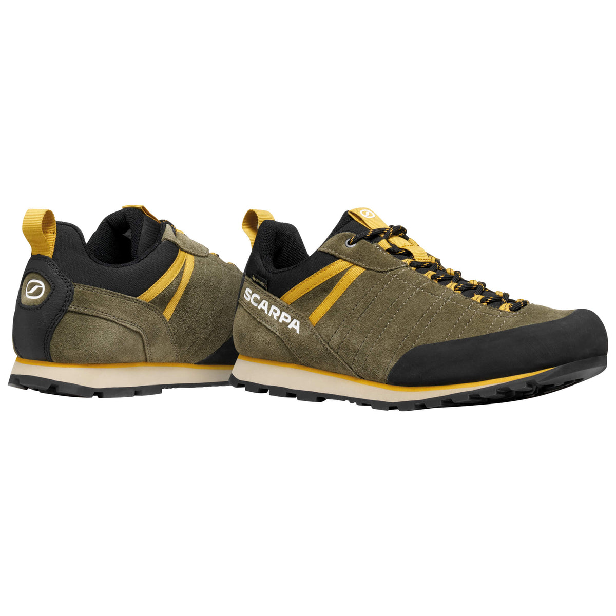Mens Crux 2 GTX Walking Shoe