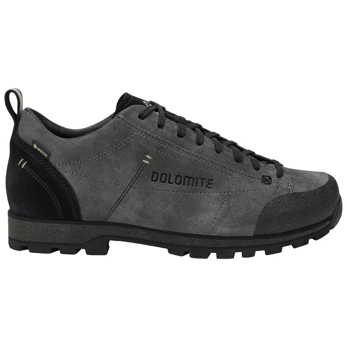 Mens 54 Low Dust GTX Walking Shoe