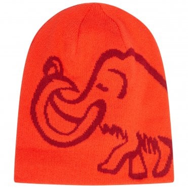 Mammut Logo Beanie Reversible
